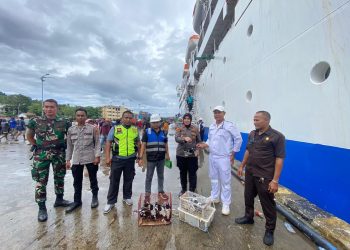 KSKP Manokwari Amankan Belasan Burung Jagal Papua di KM Sinabung