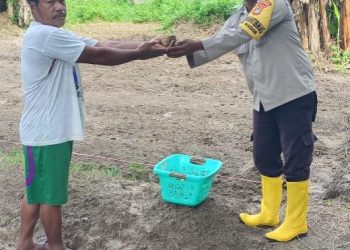 Ciptakan Kamtibmas Kondusif, Bhabinkamtibmas Kampung Manopi-Ramiki Aktif Berikan Himbauan dan Bibit Tanaman