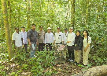 15 Ekor Burung Jagal Papua Diamankan dari KM Sinabung