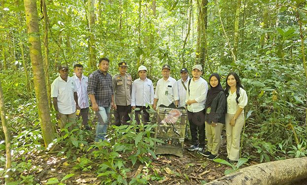 15 Ekor Burung Jagal Papua Diamankan dari KM Sinabung