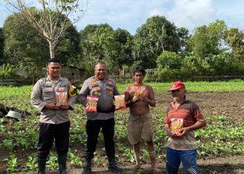 Polres Teluk Bintuni Berikan Bantuan Bibit Jagung Bertongkol Dua