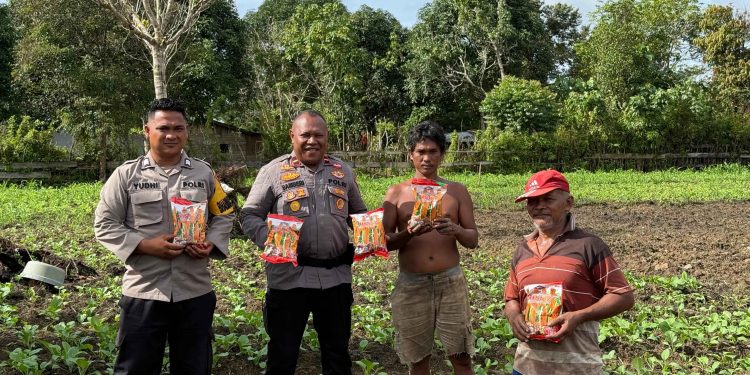 Polres Teluk Bintuni Berikan Bantuan Bibit Jagung Bertongkol Dua