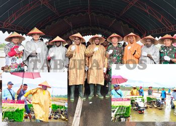 Di Bawah Guyuran Hujan, Bupati-Wabup dan Forkopimda Tanam Serempak Padi Sawah bersama Petani Oransbari