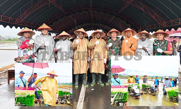 Di Bawah Guyuran Hujan, Bupati-Wabup dan Forkopimda Tanam Serempak Padi Sawah bersama Petani Oransbari