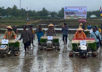 Hadiri Penanaman Padi Serentak di Oransbari, Kapolres Mansel Siap Dukung Program Ketahanan Pangan