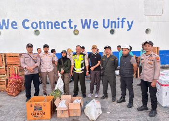 KSKP dan BKSDA Manokwari Gagalkan Penyelundupan Satwa Dilindungi di KM Gunung Dempo