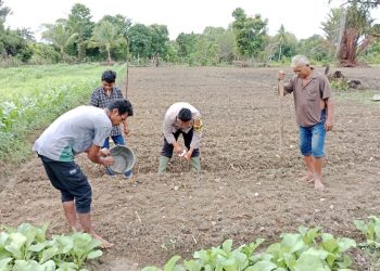 Bhabinkamtibmas Bersama Kelompok Tani Tunas Harapan Mulai Tanam Jagung di Kampung Vascodamnem