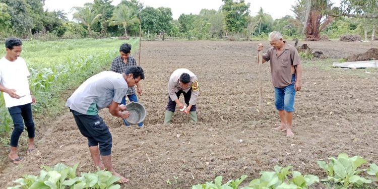 Bhabinkamtibmas Bersama Kelompok Tani Tunas Harapan Mulai Tanam Jagung di Kampung Vascodamnem