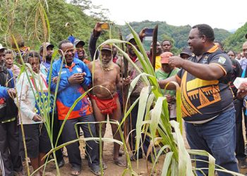 Proses Adat Menandai Pembangunan Ruas Jalan Bnicumbeiy-Nam, Minyambouw