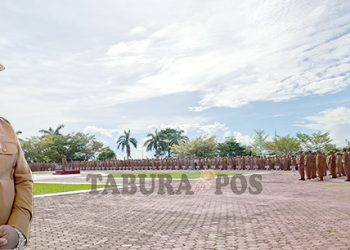 Seleksi Terbuka Pengisian JPT Pratama, Rekomendasi Persetujuan Ditiadakan