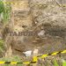 Operator Excavator Temukan Benda yang Diduga Bom Peninggalan Perang Dunia II