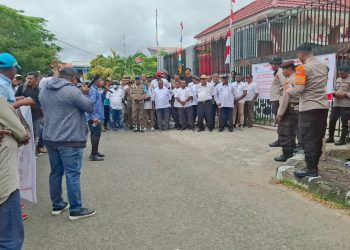 1002 Honorer di Papua Barat Minta Diangkat Tahun Ini