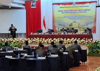 Silpa Tahun 2024 Capai Rp .133 Miliar, Auparay: Bukti Pengelolaan Program Pembangunan Tidak Maksimal