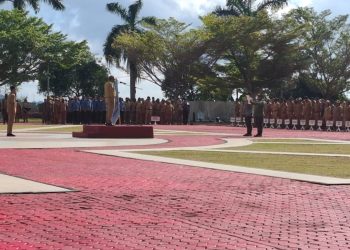 Soal Status 1.002 Tenaga Honorer, Lakotani: Tak Ada Tawar Menawar Segera Diproses