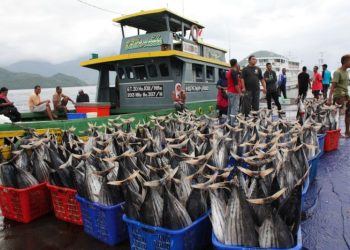 KKP perkuat pembangunan fasilitas perikanan tangkap di Indonesia timur