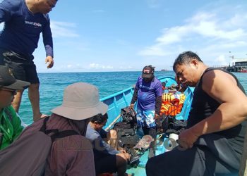Pertamina Papua Maluku dan DLH Biak Lindungi Ekosistem Pesisir Laut Waupnor