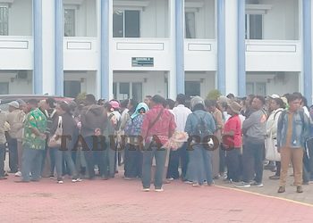 Honorer Manokwari Minta DPR RI Memperjuangkan Nasib Mereka