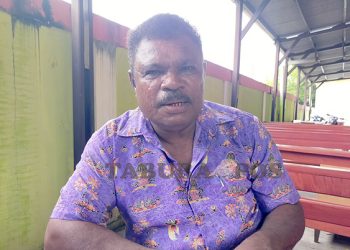 Peluang Pasar Terbuka, Dinas PPKP Manokwari Dorong Pengembangan Peternak Ayam Petelur