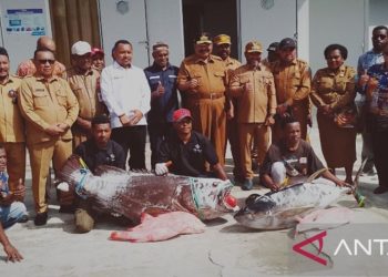 Cegah Keracunan, Prabowo Perintahkan Dapur MBG Punya “Test Kit”