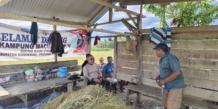 Kapolda Papua Barat Tinjau Lahan Jagung dan Bertemu Kelompok Tani di SP 5