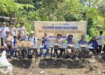 Polsek Fakfak Gencar Gerakan Ketahanan Pangan, Tanam Jagung Hibrida Wujudkan Swasembada Nasional