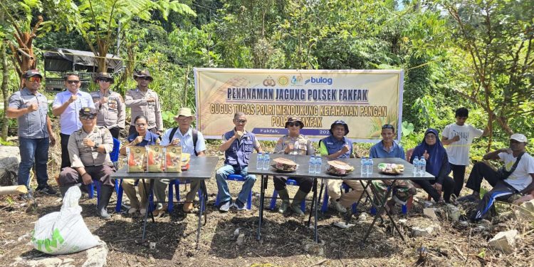 Polsek Fakfak Gencar Gerakan Ketahanan Pangan, Tanam Jagung Hibrida Wujudkan Swasembada Nasional