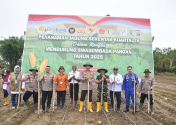 Polda Papua Barat Tanam Raya Jagung Serentak Kuartal IV Tahun 2025