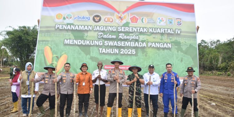 Polda Papua Barat Tanam Raya Jagung Serentak Kuartal IV Tahun 2025