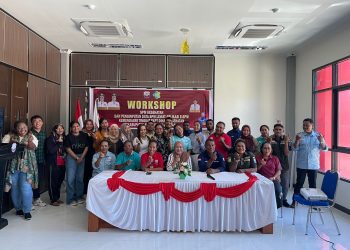 Dinkes Mansel Mulai Pengisian E-SPM Kesehatan Kemendagri Triwulan III