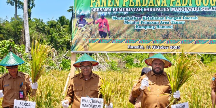 Panen Perdana Padi Gogo di Hamawi, Bupati Bernard Ajak Masyarakat Manfaatkan Lahan Tidur