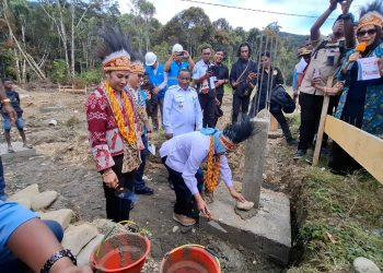 ESDM Wujudkan Pegaf Kabupaten yang Sumber Listriknya dari EBT