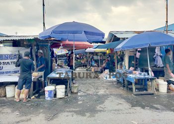 TRC Data Korban Bencana