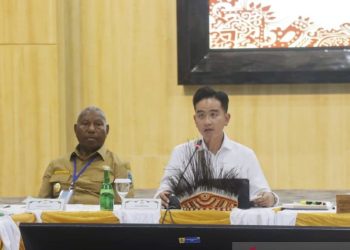 Wapres: Ada 24 Rumah Sakit yang akan Dibangun di Tanah Papua