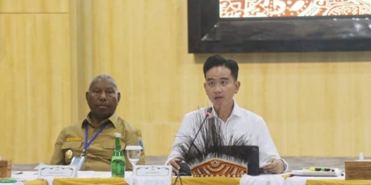 Wapres: Ada 24 Rumah Sakit yang akan Dibangun di Tanah Papua