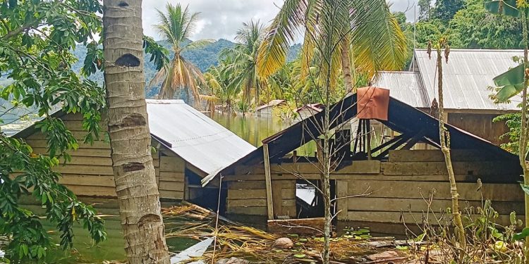 Danau Jamarfata Esrotnamba Meluap, 22 Rumah Warga Tenggelam