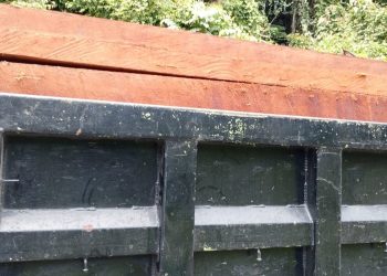 Kayu dari Papua Barat ‘Bebas’ Masuk Papua Tengah Tanpa Dokumen