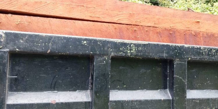 Kayu dari Papua Barat ‘Bebas’ Masuk Papua Tengah Tanpa Dokumen