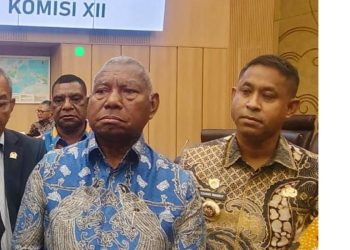 Kewenangan Ditarik, Daerah Jadi ‘Macan Ompong’ untuk Kelola Potensi Minerba