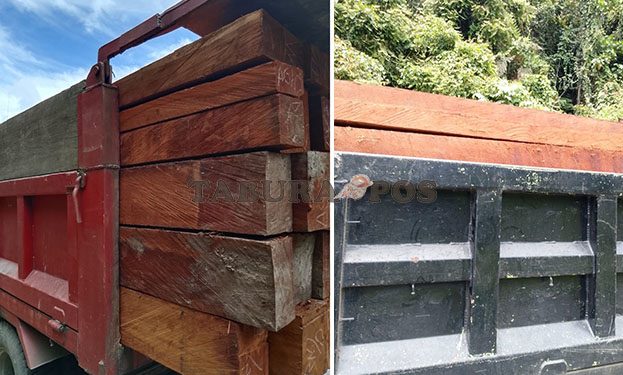 Dishut Upaya Preventif Cegah Peredaran Kayu Ilegal dari Papua Barat ke Papua Tengah