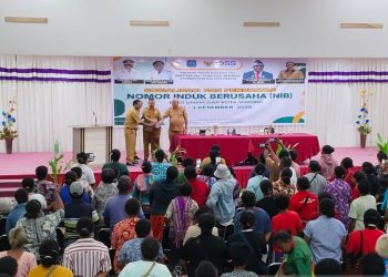 Pemprov Papua Barat Daya Fasilitasi Penerbitan NIB untuk UMKM OAP