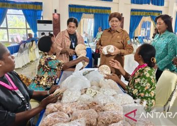 PBD Berdayakan Perempuan Pesisir Lewat Pelatihan Kerajinan Kerang