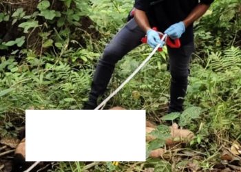 Habis Pesta Miras, UDP Ditikam Rekannya Hingga Meninggal Dunia