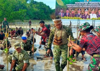 Pangkogabwilhan III Pimpinan Penanaman 1.500 Bibit Mangrove di Pantai Saubeba