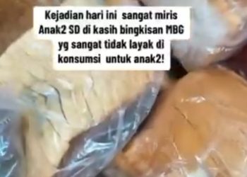 Ditemukan Bahan Makanan Tidak Layak, Ombudsman Desak Program MBG Dievaluasi Total