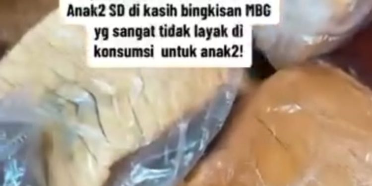 Ditemukan Bahan Makanan Tidak Layak, Ombudsman Desak Program MBG Dievaluasi Total