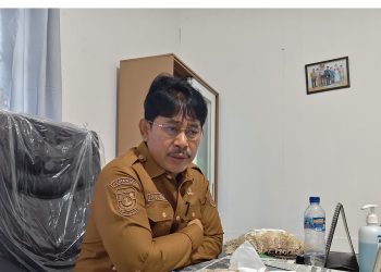 Kadinkes Mansel Siap Mendukung Program MBG 