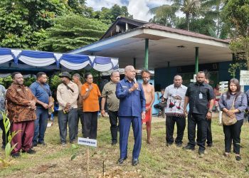 HPN 2026: Insan Pers Papua Barat Hijaukan Manokwari dengan 1.000 Pohon