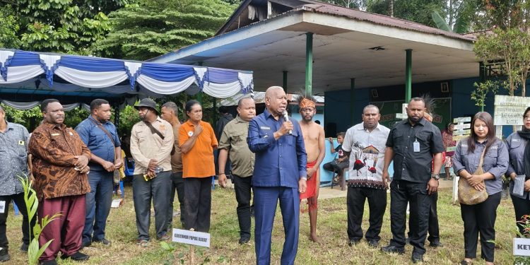 HPN 2026: Insan Pers Papua Barat Hijaukan Manokwari dengan 1.000 Pohon