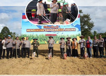 Polda Papua Barat Gelar Tanam Raya Jagung Dukung Ketahanan Pangan Nasional