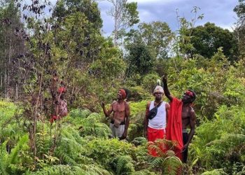 Pemerintah Lindungi Tanah Adat Papua Lewat Sertifikasi, Narasi Film Pig Feast Tak Relevan